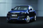 Segment I - Audi Q5